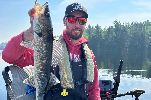 Blue Walleye