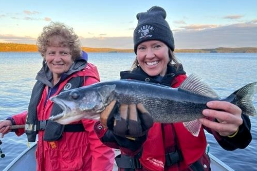 Blue Walleye