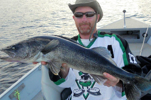 Blue Walleye