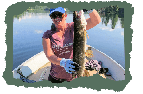 Nice pike caught during major feeding period.