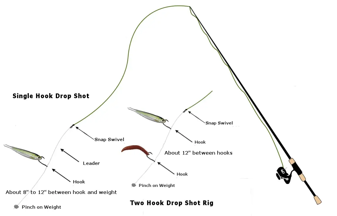 drawing of two drop shot rigs