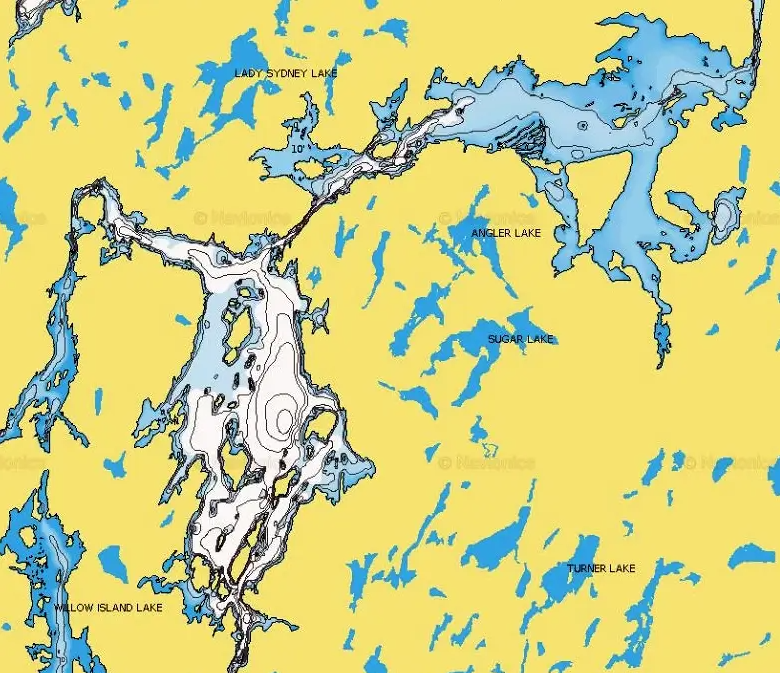 Sections of Garmin topo maps.