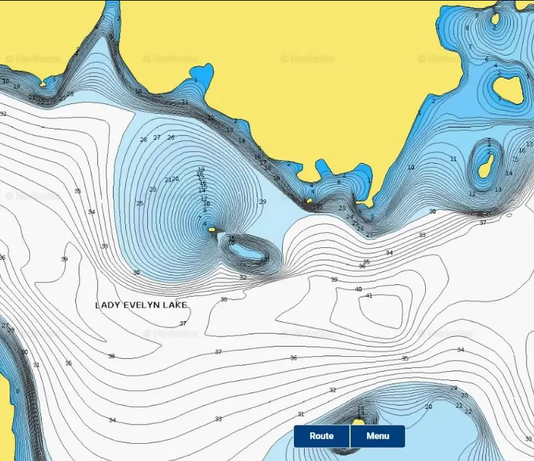 Sections of Garmin topo maps.