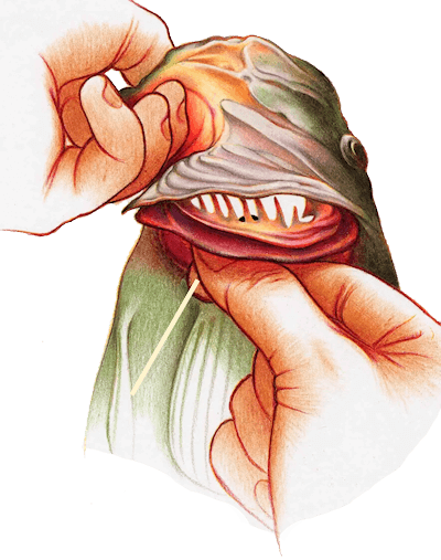 removing deeply lodged hook