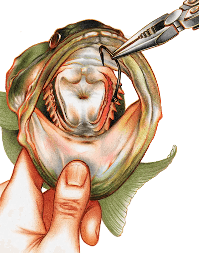 removing deeply lodged hook